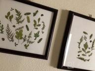 img 1 attached to 42 PCS Real Dried Pressed Leaf Flowers Plant Herbarium For Craft Resin Jewelry Making (Green Leaf) review by Robin Haynes