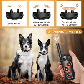 img 3 attached to 🐶 SDOFOS Dual Dog Training Collar with 1300ft Remote Range, 3 Training Modes - Beep, Vibration, Shock, IPX7 Waterproof Rechargeable Shock Collar for Small Medium Large Dogs