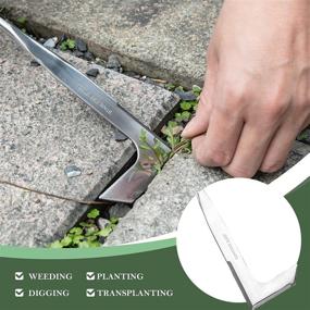 img 2 attached to EZARC Crack Weeder: 11.2" Stainless Steel Manual Weeding Tool For Garden Lawn Yard Patio Terrace Paving Moss Removal.