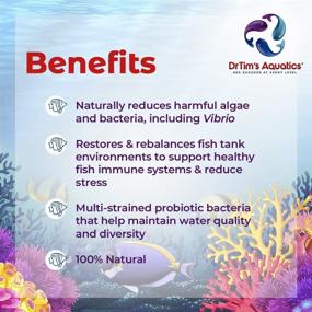 img 2 attached to DrTims Aquatics Eco Balance Multi Strained Probiotic Fish & Aquatic Pets for Aquarium Water Treatments