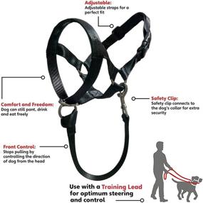 img 3 attached to Barkless Collar Training Walks Guide Dogs