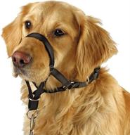 barkless collar training walks guide dogs logo