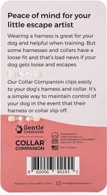 img 3 attached to 🔒 Double-Ended Safety Clip for Small Dogs - Collar Companion for Harness, Prong Collar, Pinch Collar, and Gentle Lead - Backup Clasp for Enhanced Security