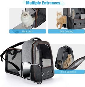 img 3 attached to 🐱 Lekereise Expandable Transparent Cat Backpack Carrier: Airline Approved, Clear Ventilated Design for Small Cats and Dogs - Grey