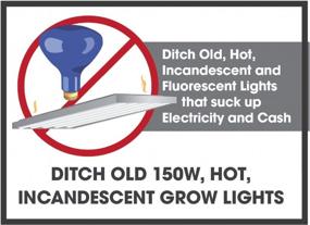 img 3 attached to Miracle LED Коммерческая гидропоника Ultra Grow Lite - заменяет до 150 Вт - дневной белый светодиод полного спектра для выращивания растений в помещении для домашнего садоводства и садоводства (605188)