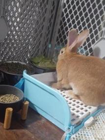 img 5 attached to Oncpcare Super Size Rabbit Litter Box- The Perfect Restroom Solution For Small Animals!