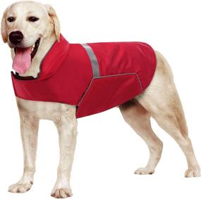 img 4 attached to 🐶 Phyxin Reversible Waterproof Dog Jacket for Medium and Large Dogs - Windproof Adjustable Raincoat, Reflective Winter Pet Clothes