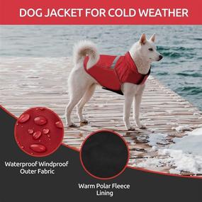 img 3 attached to 🐶 Phyxin Reversible Waterproof Dog Jacket for Medium and Large Dogs - Windproof Adjustable Raincoat, Reflective Winter Pet Clothes