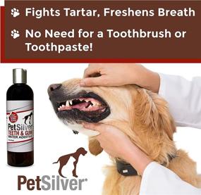 img 2 attached to 🐾 PetSilver Teeth & Gum: Chelated Silver Dental Care Solution for Dogs and Cats, Made in USA, Vet Formulated, Naturally Controls Tarter and Plaque, Brush-Free Dental Cleaning