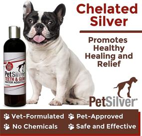 img 3 attached to 🐾 PetSilver Teeth & Gum: Chelated Silver Dental Care Solution for Dogs and Cats, Made in USA, Vet Formulated, Naturally Controls Tarter and Plaque, Brush-Free Dental Cleaning