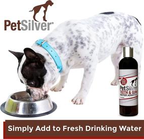 img 1 attached to 🐾 PetSilver Teeth & Gum: Chelated Silver Dental Care Solution for Dogs and Cats, Made in USA, Vet Formulated, Naturally Controls Tarter and Plaque, Brush-Free Dental Cleaning