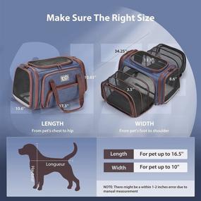 img 2 attached to Airline Approved Expandable Pet Carrier with Removable Fleece Pad for Cats, Dogs & Small Animals - TSA Approved Cat Carrier, Large Pet Carrier