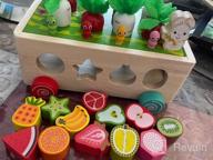 img 1 attached to Gift Toy For Baby Boys Girls 1-3 Years Old: SKYFIELD Montessori Wooden Garden Color Shape Fruit Sorting Orchard Cart Farm Game - Develop Fine Motor Skills! review by Rich Shankar