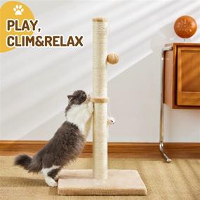 img 1 attached to MeowHomm 32'' Tall Cat Scratching Post with Hanging Ball - Durable Indoor Cat Scratcher with Sisal Rope