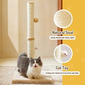 img 3 attached to MeowHomm 32'' Tall Cat Scratching Post with Hanging Ball - Durable Indoor Cat Scratcher with Sisal Rope