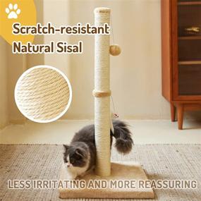 img 2 attached to MeowHomm 32'' Tall Cat Scratching Post with Hanging Ball - Durable Indoor Cat Scratcher with Sisal Rope