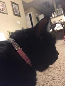 img 1 attached to 🐱 CHUKCHI Soft Velvet Safe Cat Adjustable Collar: Bling Diamante with Bells, 11 inch for Small Dogs and Cats (Pink) - Stylish and Secure Pet Accessory!