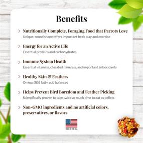 img 2 attached to 🦜 Lafeber Sunny Orchard Nutri-Berries: Premium Non-GMO Parrot Food, 20 lb - Human-Grade & Nutrient-Rich