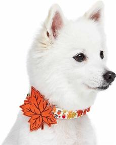 img 3 attached to 🍂 Optimized Blueberry Pet Fall Halloween Thanksgiving Dog Collars and Collar Covers with 10 Patterns