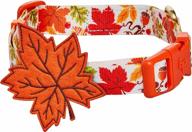 🍂 optimized blueberry pet fall halloween thanksgiving dog collars and collar covers with 10 patterns logo