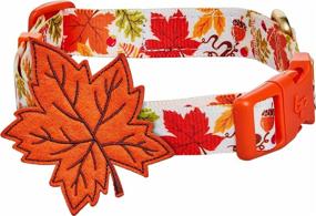 img 4 attached to 🍂 Optimized Blueberry Pet Fall Halloween Thanksgiving Dog Collars and Collar Covers with 10 Patterns