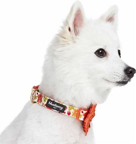 img 2 attached to 🍂 Optimized Blueberry Pet Fall Halloween Thanksgiving Dog Collars and Collar Covers with 10 Patterns