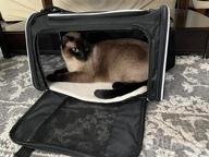 img 1 attached to Travel In Style: Collapsible Blue Cat Carrier For Small To Medium Pets - Airline Approved review by Juan Gomez