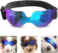 🐶 pedomus dog sunglasses: stylish blue goggles for small dogs - uv protection, windproof & waterproof! логотип