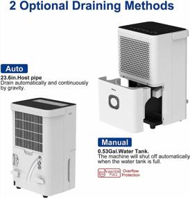 img 1 attached to 🌧️ Shinco SDL-1500 Sq.Ft Dehumidifier for Medium-sized Space, Home, Basement, Bedroom, Bathroom, with Auto or Manual Drainage, Efficient Moisture Removal &amp; Humidity Control