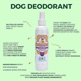 img 3 attached to Спрей-дезодорант для собак Pawtitas 8 унций - натуральный свежий аромат для собак и щенков, выбор грумера с ароматом лаванды и ромашки.