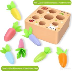 img 3 attached to 🥕 Toddlers Montessori Toys for 1 2 3 Year Old, Gifts for 6 12 18 Months Baby Boys Girls, Wooden Carrot Harvest Game Toy, Educational Learning Shape Sorting Matching Toy for Babies 1-3