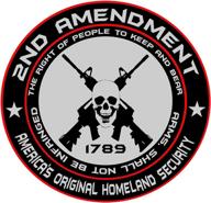 2nd amendment americas original homeland логотип