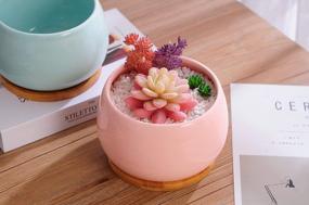 img 1 attached to 🌵 Jusalpha Large Porcelain Succulent Cactus Planter with Drainage Hole & Bamboo Saucer for Indoor Plants, Planter 07 (Pink)