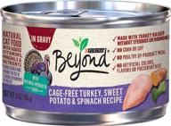 purina beyond grain free, natural adult wet cat food in gravy & cat food toppers (packaging variations) logo