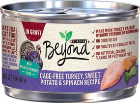 img 4 attached to Purina Beyond Grain Free, Natural Adult Wet Cat Food in Gravy & Cat Food Toppers (Packaging Variations)