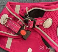 img 1 attached to Joytale Dog Harness Step-In Mesh Vest, 12 Colors, Reflective Padded Harnesses For Small And Medium Dogs, Red Size L. review by Alex Britton