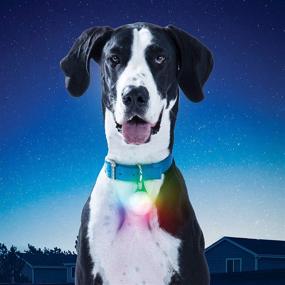 img 3 attached to 🐶 Enhance Safety with Nite IZE SpotLit LED Collar Light: Illuminating Pet Protection