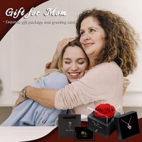 img 1 attached to Коробка с вечными розами Подарки с ожерельем «Я люблю тебя на 100 языках» для женщин - Идеальный подарок из сохранившейся розы для нее, подруги, мамы на День святого Валентина и Рождество - Coindivi