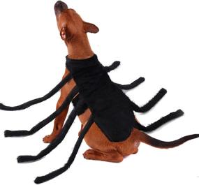 img 1 attached to Halloween Spider Decoration Costumes Adjustable