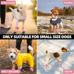 img 2 attached to Breathable Dog Booties: Perfect Hiking Shoes for Small Size Dogs - Protect Paws from Hot Pavement & Winter Snow!