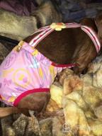 img 1 attached to Washable Dog Diapers For Female Pets - Set Of 3 With Suspenders - Stay On Design - Ideal For Small Breeds - Waist Size 10-12 Inches (Green, Pink, And Blue) review by Monica Nixon