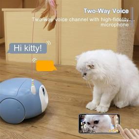 img 1 attached to Smart Pet Camera Robot: Cat & Dog Treat Dispenser, Pumpkii Home Robot with 🐾 App Control, Two-Way Audio, 1080P HD Camera for Mobile, Night Vision, Interactive Teaser for Cats