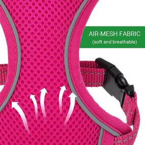 img 1 attached to 🐾 Escape Proof Cat Harness and Leash Set - Reflective Vest for Walking and Travel - Adjustable Mesh Pink Cat Harness Leash - Comfort Fit for Small Medium Large Cats, Puppy