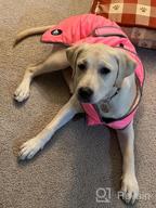img 1 attached to Waterproof Reflective Winter Dog Jacket With Reversible Stormguard, Windproof Coat For Cold Weather, Warm Coat Vest For Small, Medium, Large Dogs - Red (Size S) By MIGOHI review by Robert Morrison