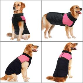 img 3 attached to 🧥 Didog Cold Weather Dog Warm Vest Jacket Coat, Pet Winter Clothes for Small to Large Dogs, 8-Inch