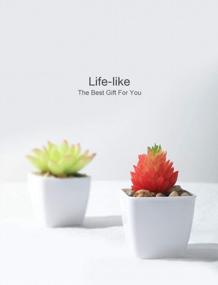 img 2 attached to Add A Touch Of Green With Veryhome'S 4Pcs Artificial Faux Succulent Mini Potted Plants For Home And Office Decor