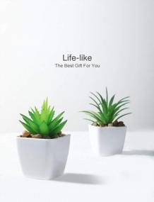 img 3 attached to Add A Touch Of Green With Veryhome'S 4Pcs Artificial Faux Succulent Mini Potted Plants For Home And Office Decor