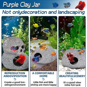 img 1 attached to 🐠 Enhance Your Aquarium with Natural Betta Hideout Cave Shrimp Cichlid Decorations: Ideal Accessories for Breeding, Hiding, and Playtime in Small Fish Tank