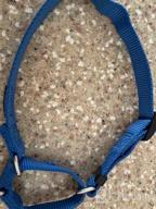 img 1 attached to Heavy Duty Nylon Anti-Escape Martingale Collar For Large Dogs - Professional Training, Daily Use Walking (Large, Sleet Gray) review by Sean Andrews