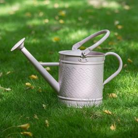 img 3 attached to HORTICAN 1 Gallon Watering Can Decorative Farmhouse Watering Can, Metal Watering Can With Removable Spout, Perfect Plant Watering Can For Indoor And Outdoor